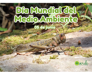 Día Mundial del Medio Ambiente