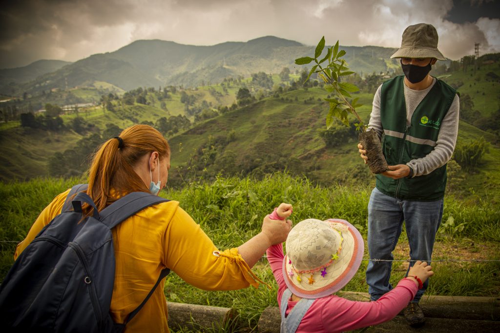 Participación de actores en restauración ecológica "Áreas de vida"